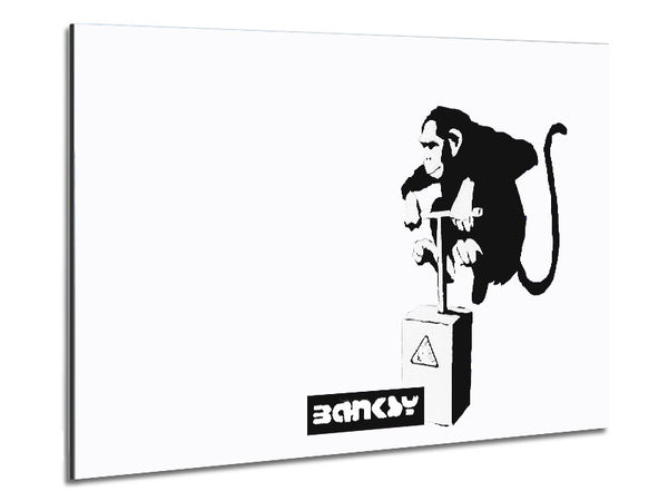Monkey Detonator White Metal Print