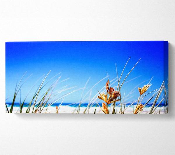 Clear Beach Sky