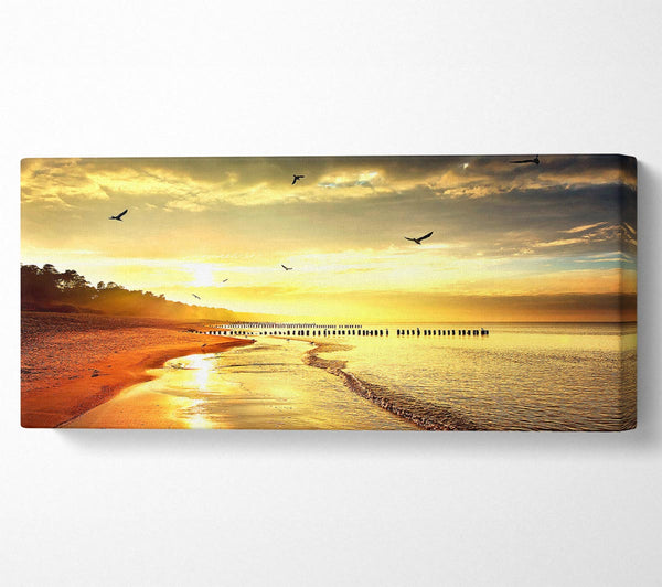 Stunning Yellow Sunset Beach