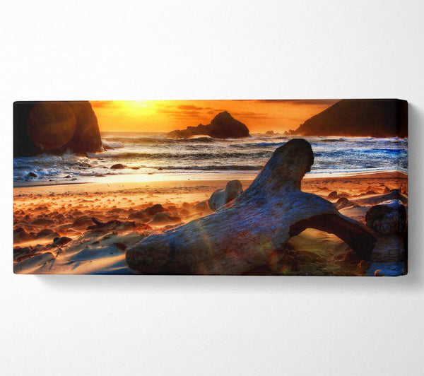 Driftwood At Sunset