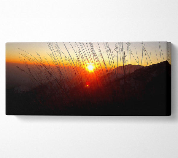 Dusk Through The Reeds