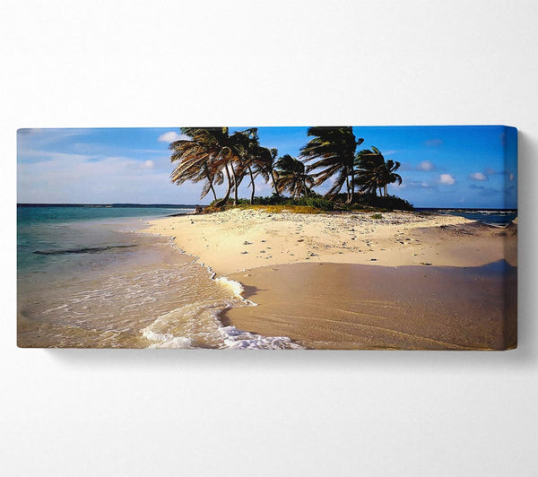 Palmtree Island