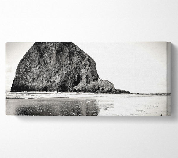Rock In Black And White