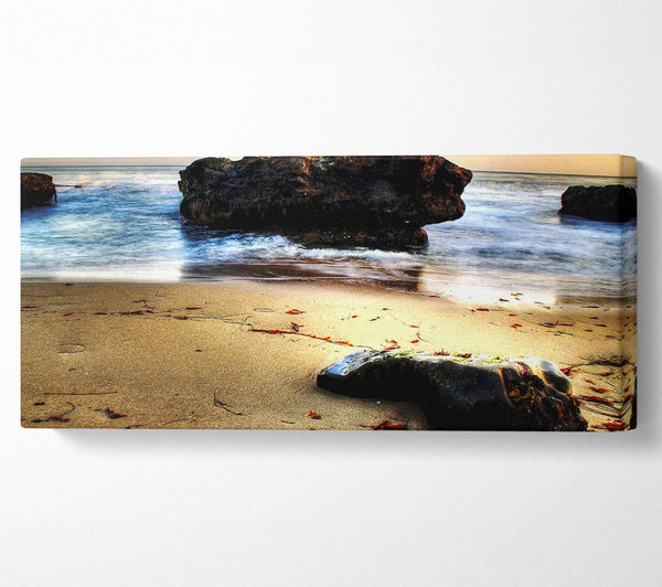 Sea Rocks