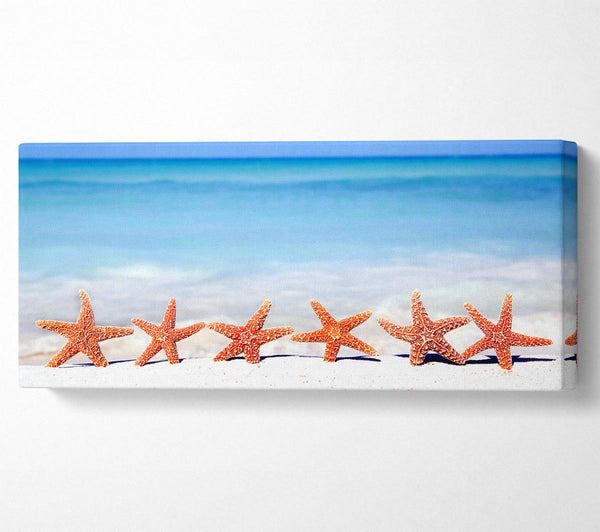 Star Fish Line-up