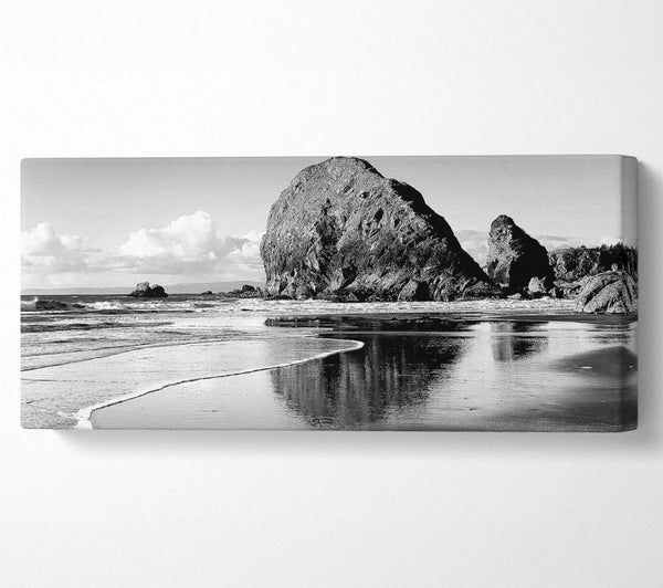 Magnificent Ocean Rocks B n W