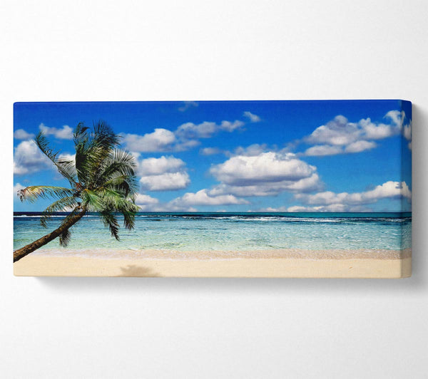 Palm Tree Island Paradise