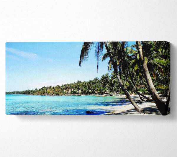 Relaxing Palm Tree Island