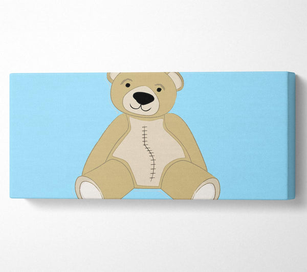 Stitched Up Teddy Baby Blue
