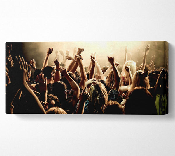 Concert Crowd