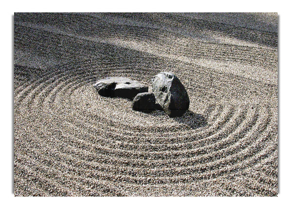 Stone Crop