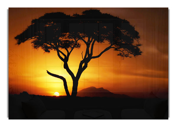 Afrikanischer Baum im goldenen Sonnenlicht ethnisch