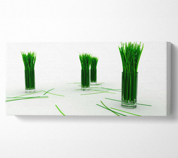 Wheat Glass Grass