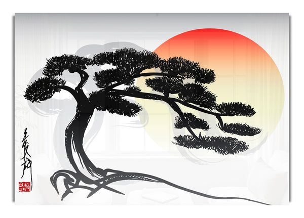 Bonsai Tree