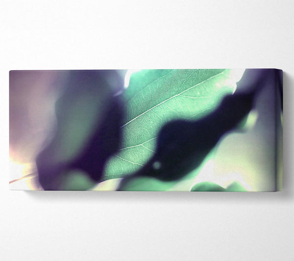 Leaves Hidding From The Light