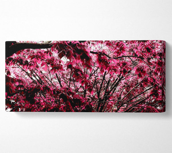 Pink Tree