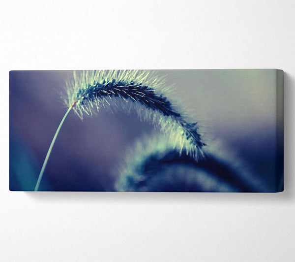 Spikelets Macro
