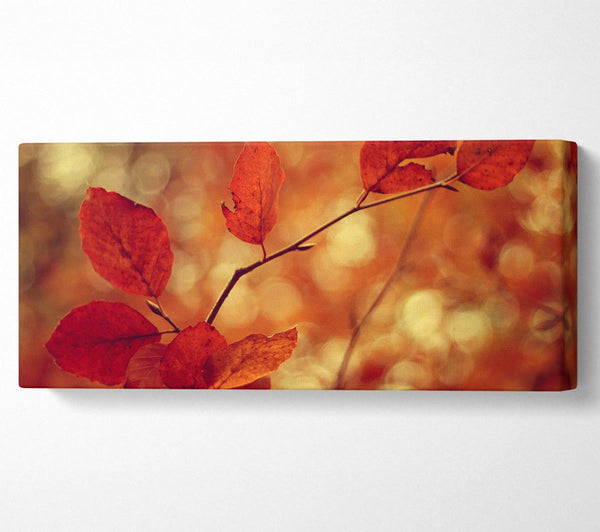 Leaves In Autumn