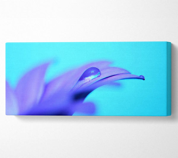 Purple Petals