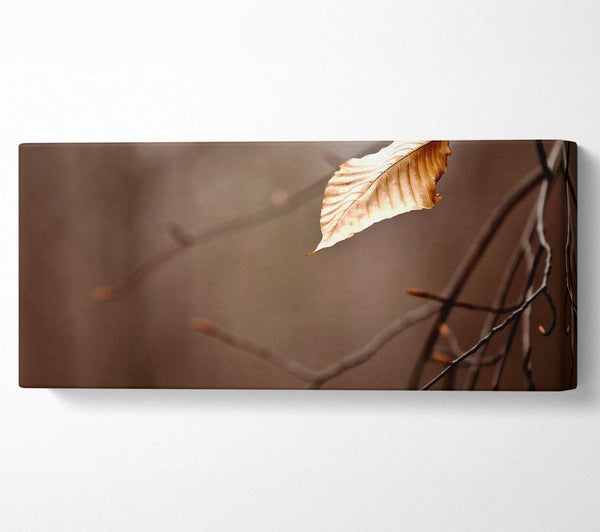 Leafless