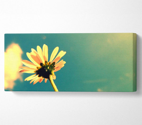 Summer Flower Retro Sunshine