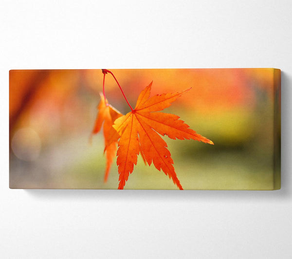 Orange Leaves Sparkle