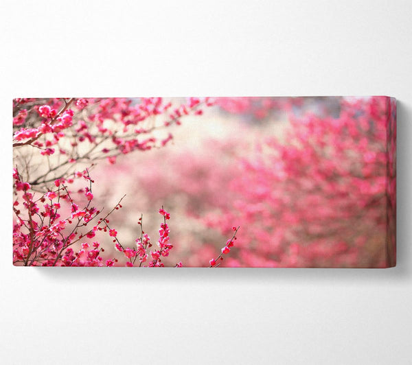 Spring Signs