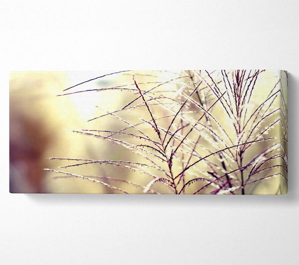 Wildflowers In The Sunlight