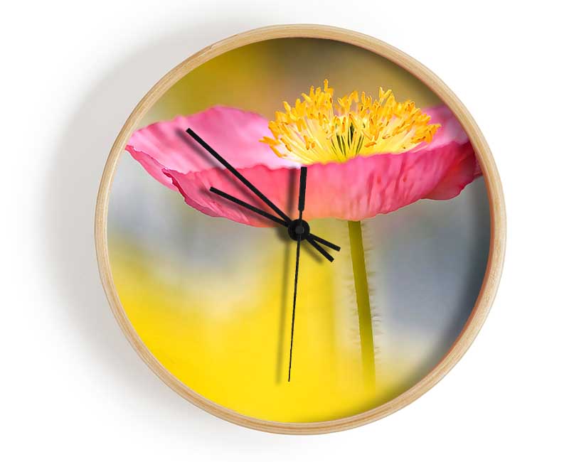 Single Pink Poppy In The Garden Clock - Wallart-Direct UK