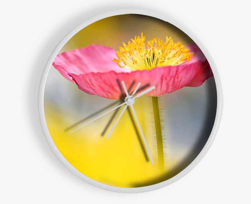 Single Pink Poppy In The Garden Clock - Wallart-Direct UK