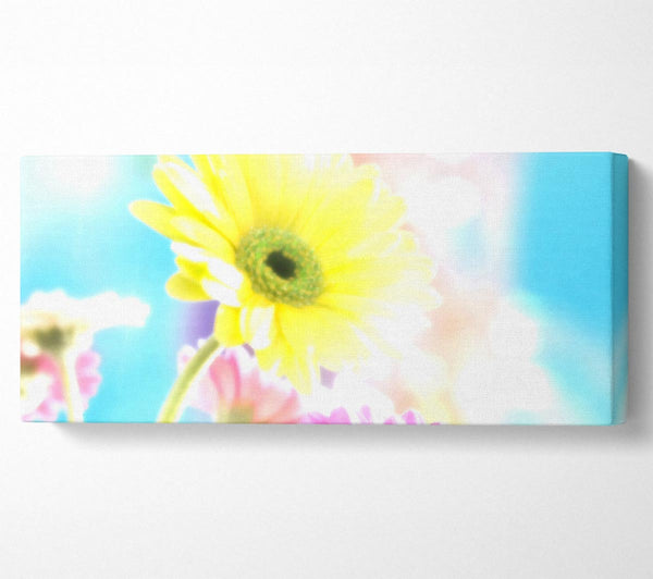 Colourful Summer Rainbow Flowers
