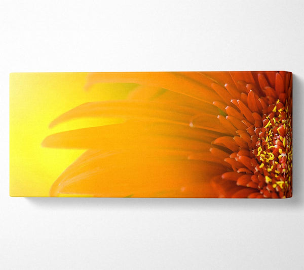 Orange Flower Mist