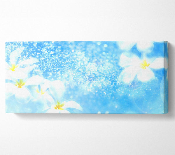 Plumeria Blue
