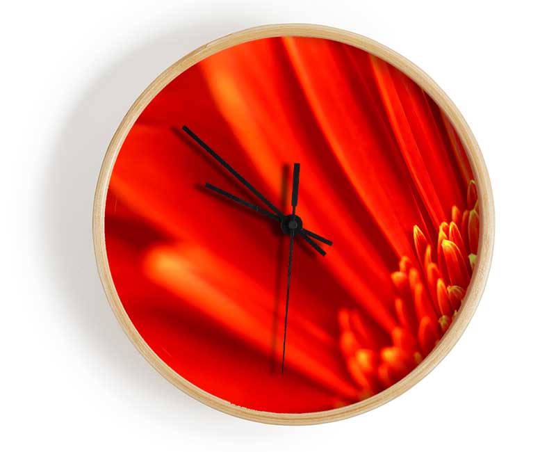Red Orange Gerbera Petals Clock - Wallart-Direct UK