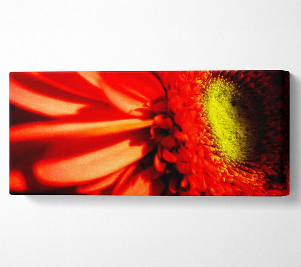 Close-up Of A Gerbera