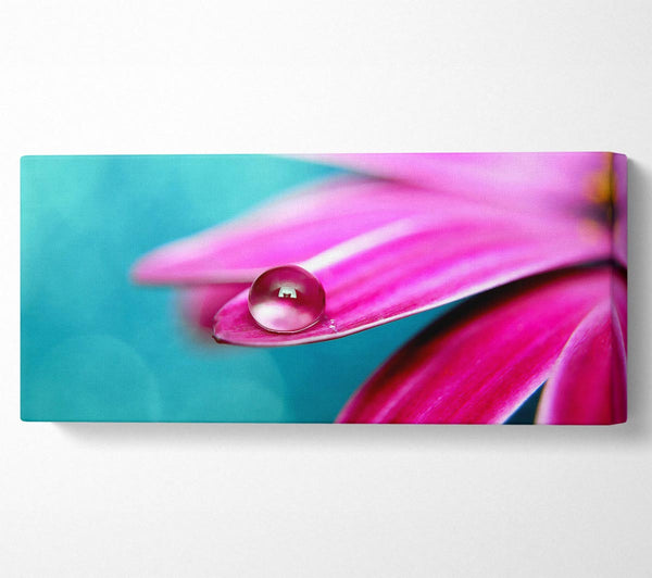 Water Drop On A Pink Petal