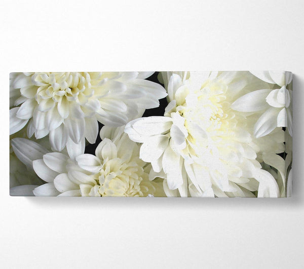 White Flowers