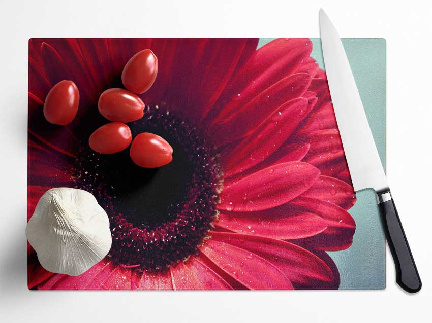 Gerbera Flower Deep Red Glass Chopping Board