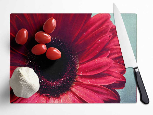 Gerbera Flower Deep Red Glass Chopping Board