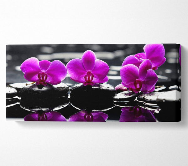 Trio Of Orchids