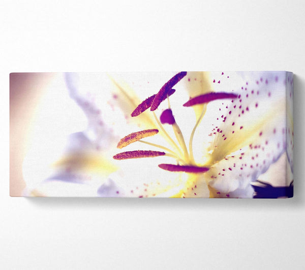 White Tiger Lily
