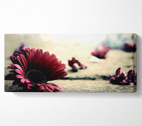 Missing Petals