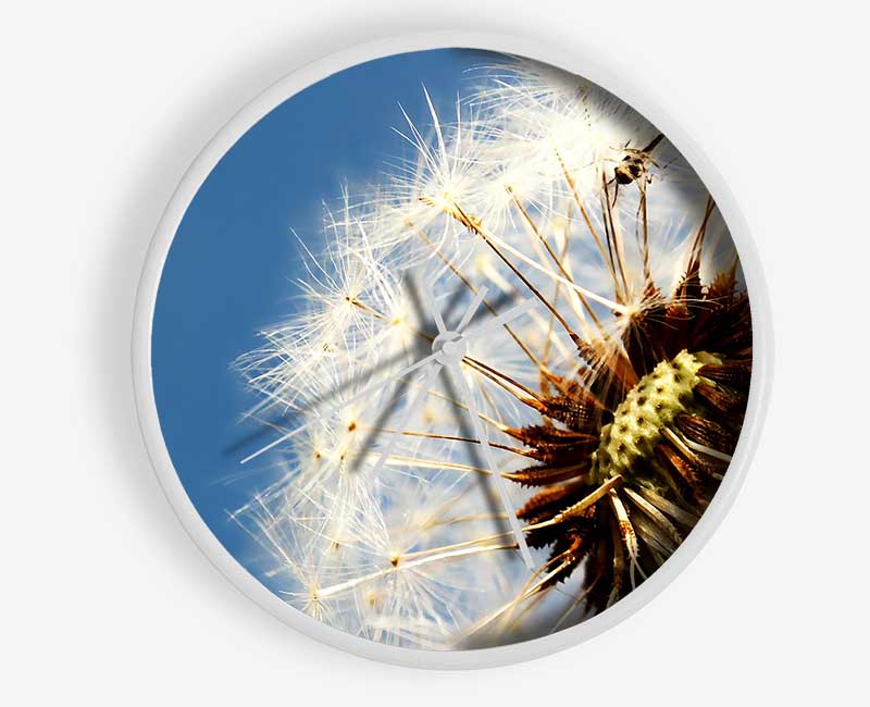 Dandelion Skies Clock - Wallart-Direct UK