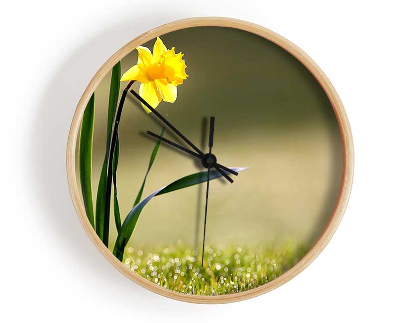 Single Daffodil Clock - Wallart-Direct UK