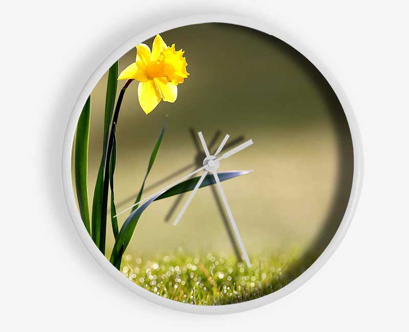 Single Daffodil Clock - Wallart-Direct UK