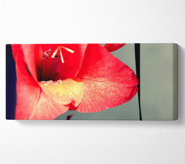 Three Petal red