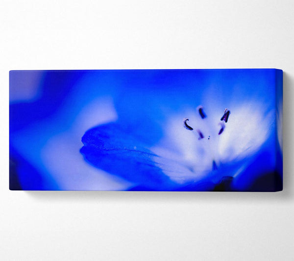 Electric Blue
