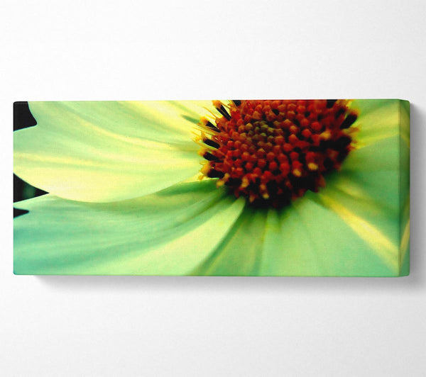 White Green Petals