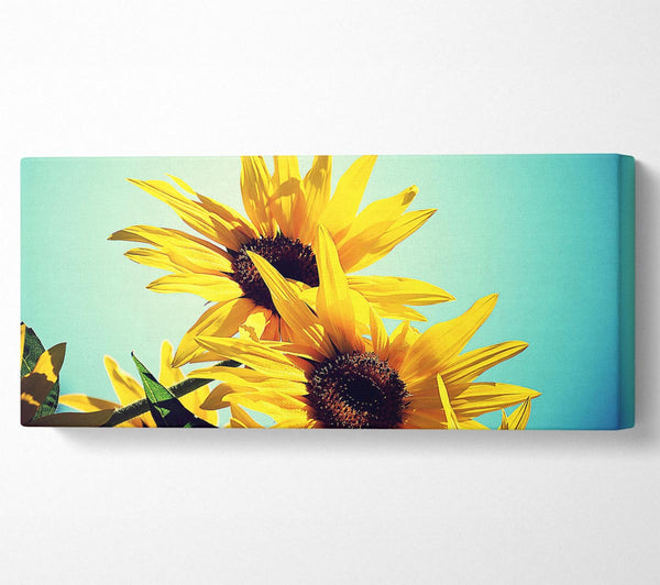 Sunflowers Against Blue Sky