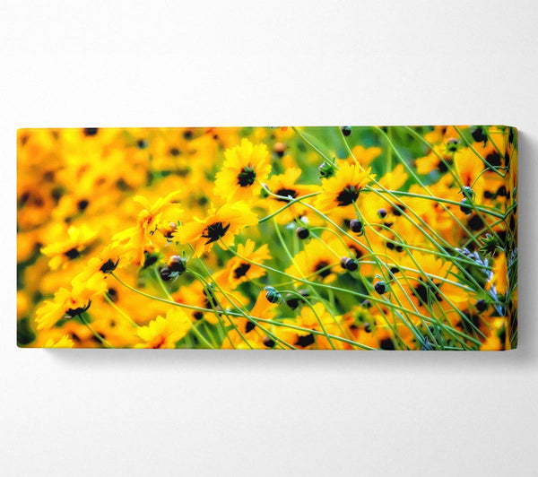 Very Yellow